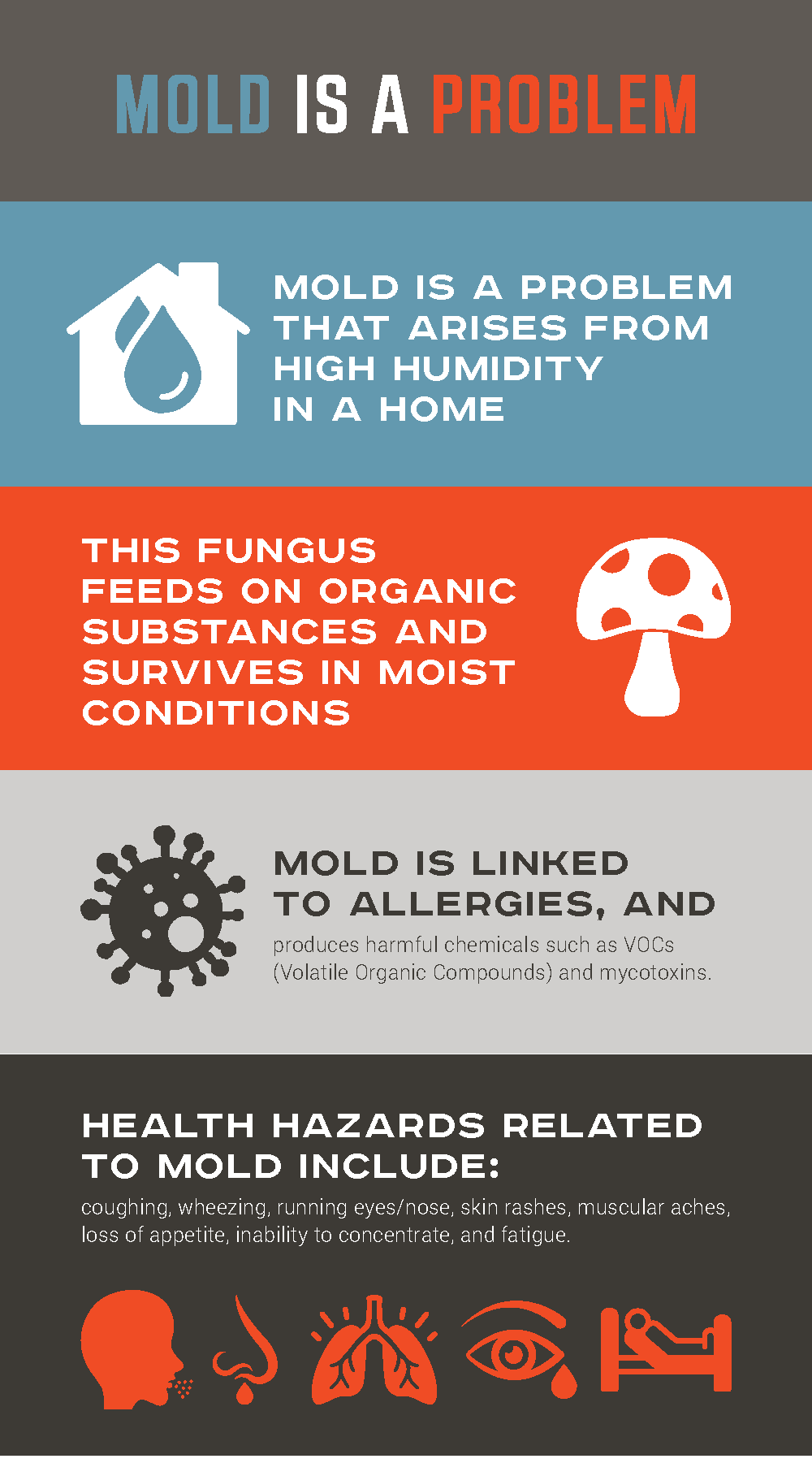 mold-is-a-problem