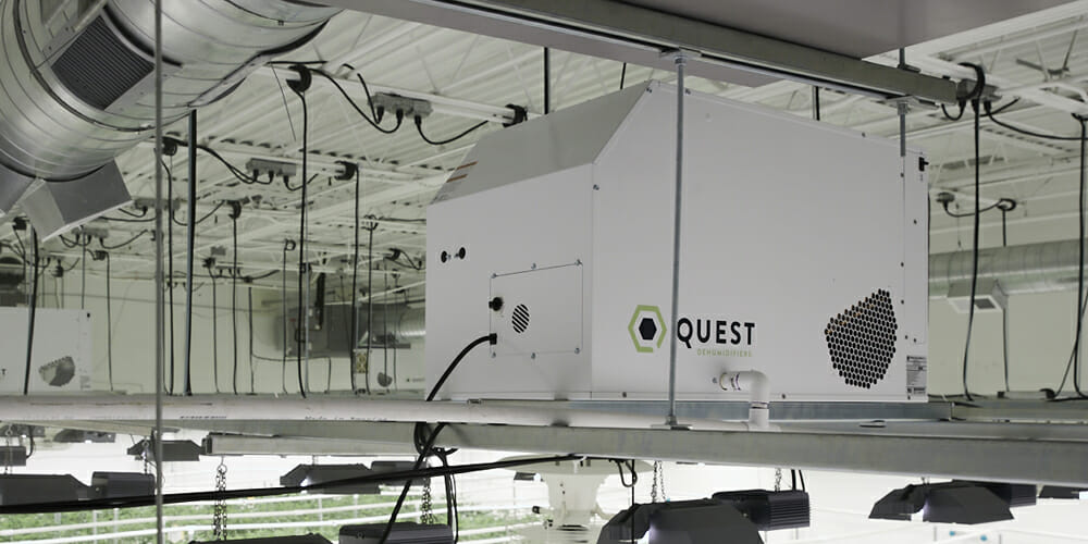 quest-standalone-dehumidifiers