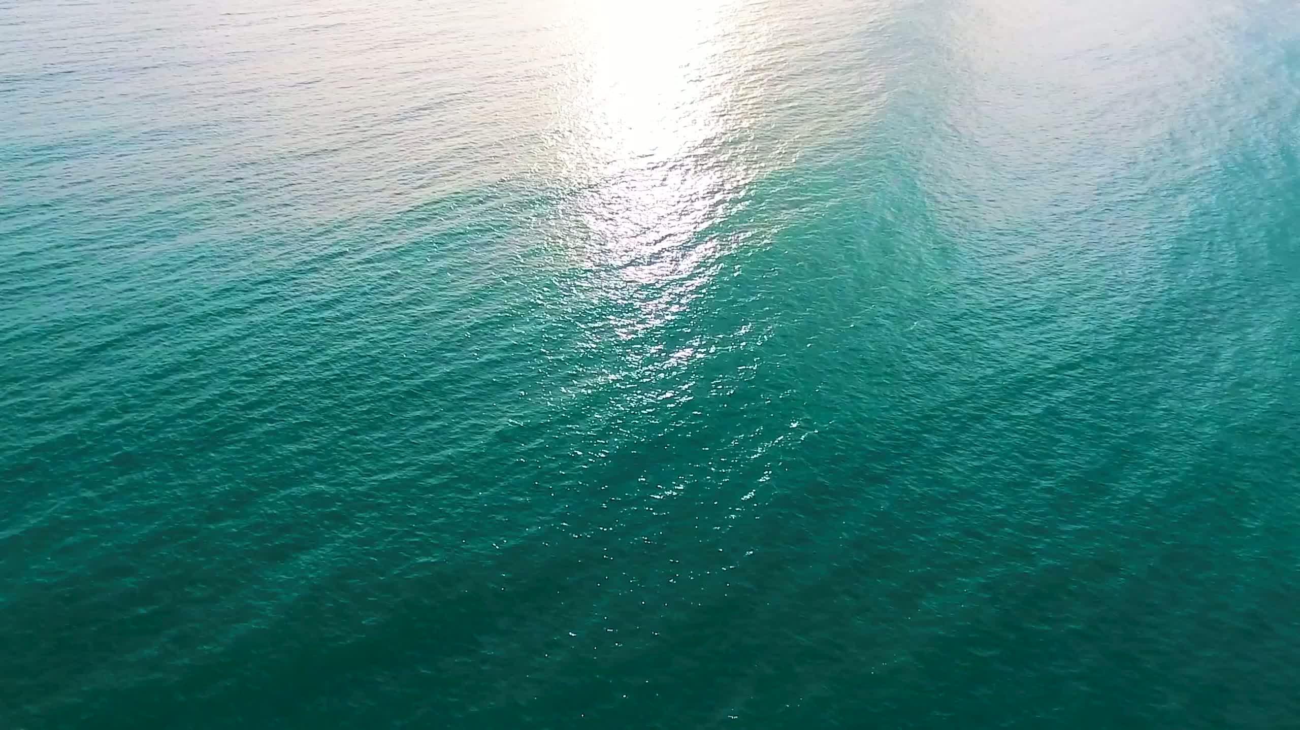 4193127-uhd_2562_1440_24fps-converted